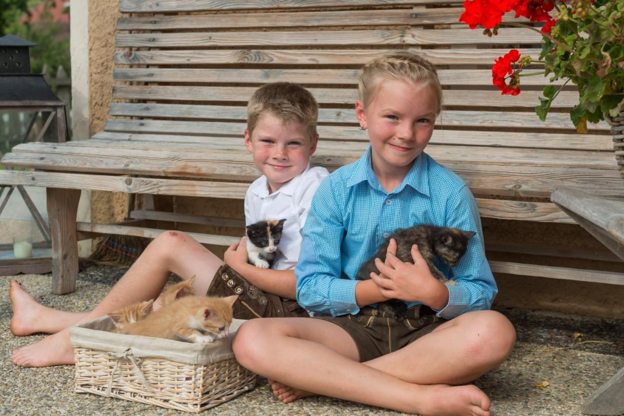 Hartlhof Urlaub Am Baby- Und Kinderbauernhof Нідерау Екстер'єр фото